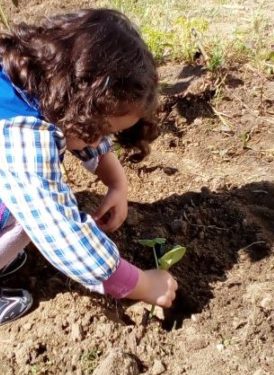 Quintinha Pedagógica