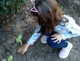 Quinta Pedagógica 2021/2022