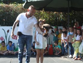 Festa de Final de Ano: A Celebração do Ambiente